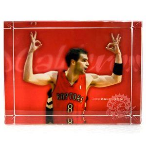 NBA CRYSTAL COLLECTIBLE Toronto Raptors Jose Calderon Crystal Block